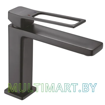 Смеситель Shevanik S6901H (черный)